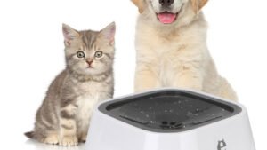 1.5L Cat Dog Water Bowl Carried Floating Bowl Anti-Overflow Slow Water Feeder Dispenser Pet Fountain ABS&PP Dog Supplies