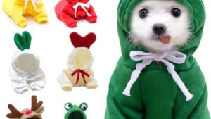 Cute Fruit Dog Clothes For Small Dogs Hoodies Winter Warm Fleece Pet Clothing Puppy Cat Costume Coat For French Chihuahua Outfit